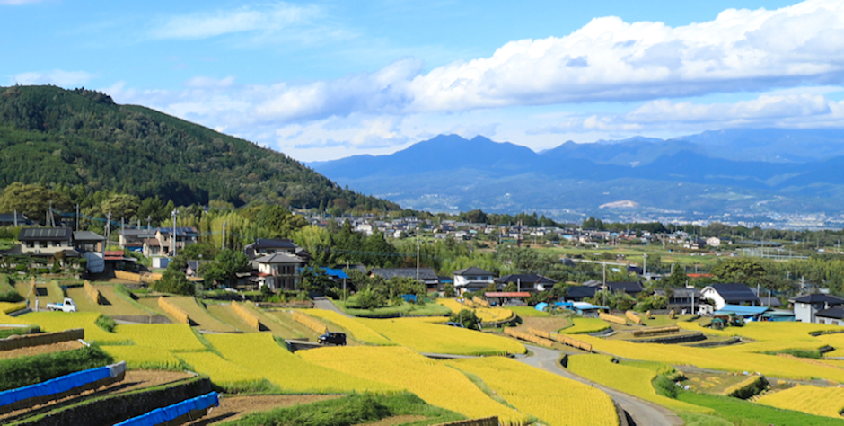 北杜市里山